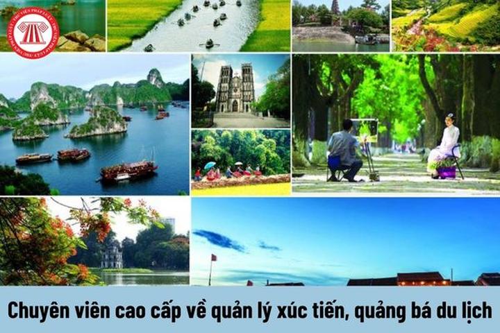 Một Cú Nhấp Chuột, Triệu Lượt Xem: Hotspot Matrix và Chuyến Hành Trình Startup Của Tôi