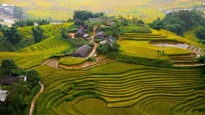 Hotspot Matrix: Biến Phương Oanh diện set đồ 50 thành cơ hội marketing đột phá