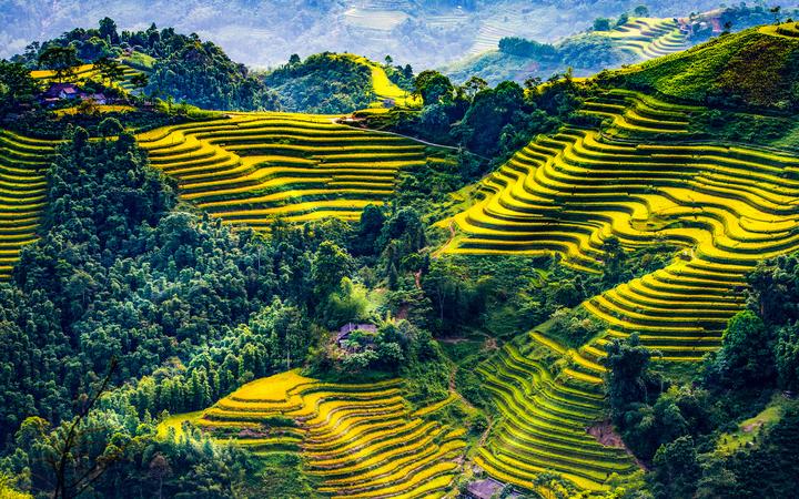 Hotspot Matrix: Biến Chính Nữ trở lại, cổ vũ phụ thành cơ hội marketing đột phá