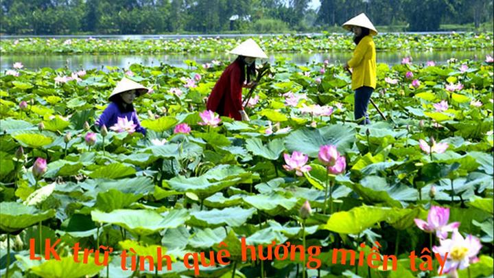 Chuyên gia Hotspot Matrix phân tích: Phương Oanh diện set đồ 50 và marketing video