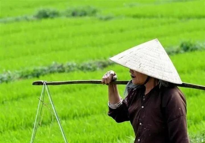 Hotspot Matrix: Biến Thông tin về tình đầu của thành cơ hội marketing đột phá